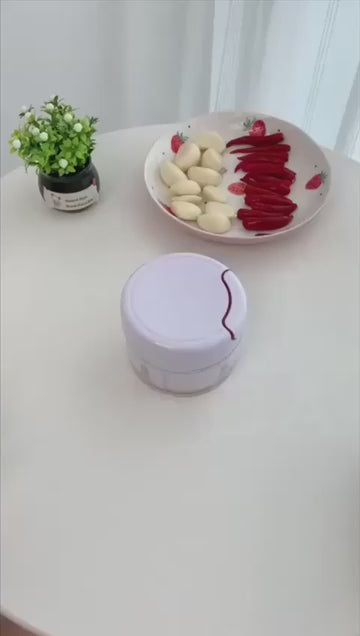 Mini Garlic Chopper Multifunctional Hand Held Food & Vegetable Chopper